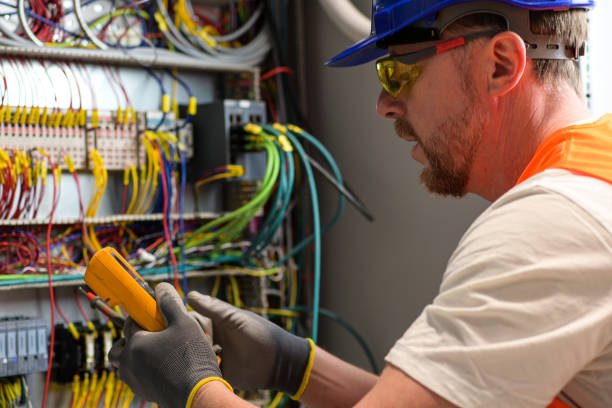 Best Electric Panel Repair  in Limestone, IL